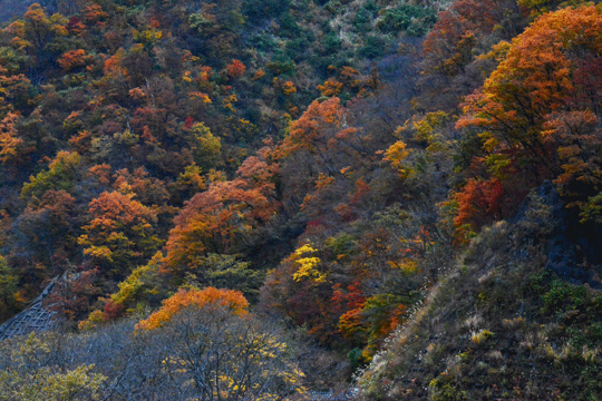 c0093046_19354157.gif