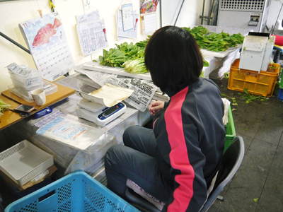 水耕栽培 ほうれん草、サラダレタス、水菜!収穫と出荷の様子を取材してきました!!_a0254656_17551117.jpg