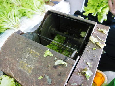 水耕栽培 ほうれん草、サラダレタス、水菜!収穫と出荷の様子を取材してきました!!_a0254656_187740.jpg