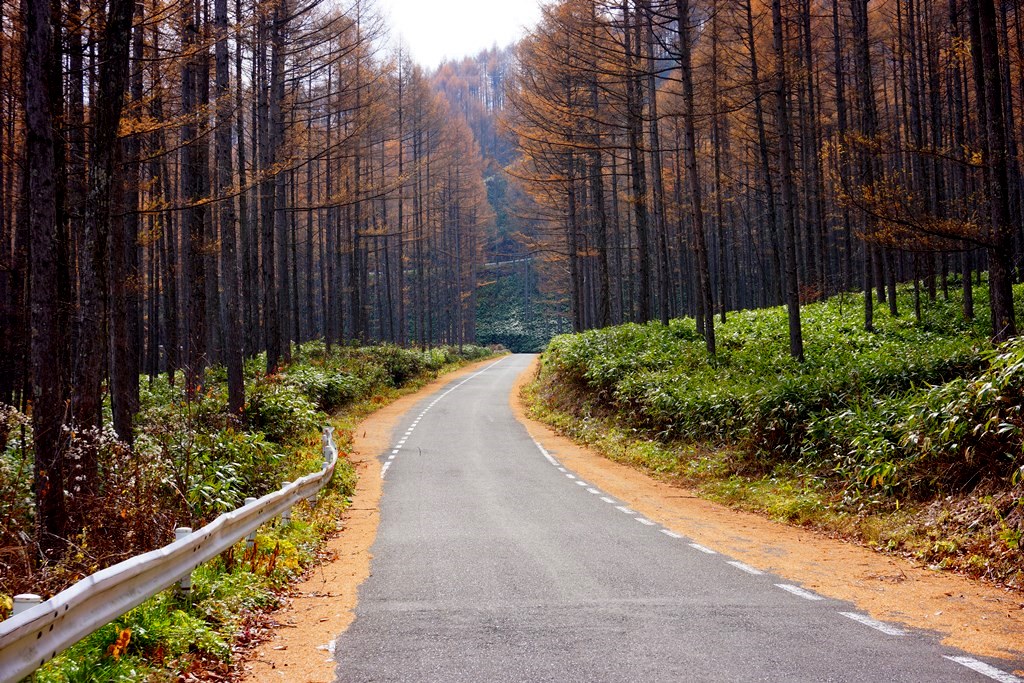 mountain path（長野県松本市～野麦峠へ）_e0223456_1064650.jpg