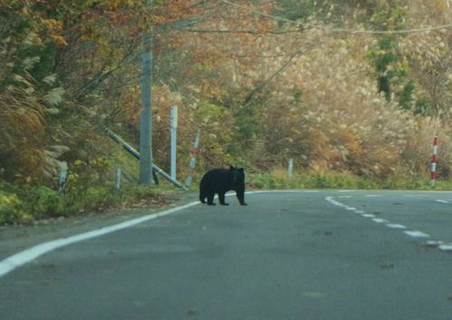 c0294658_08502240.jpg