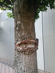 f0130259_120129.jpg