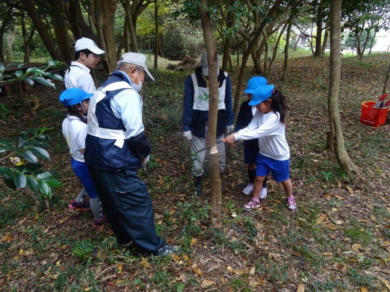 岸和田市立八木北小学校３年生遠足「里山体験]　in　うみべの森_c0108460_17175396.jpg