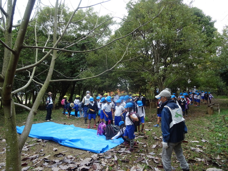 岸和田市立八木北小学校３年生遠足「里山体験]　in　うみべの森_c0108460_17175691.jpg