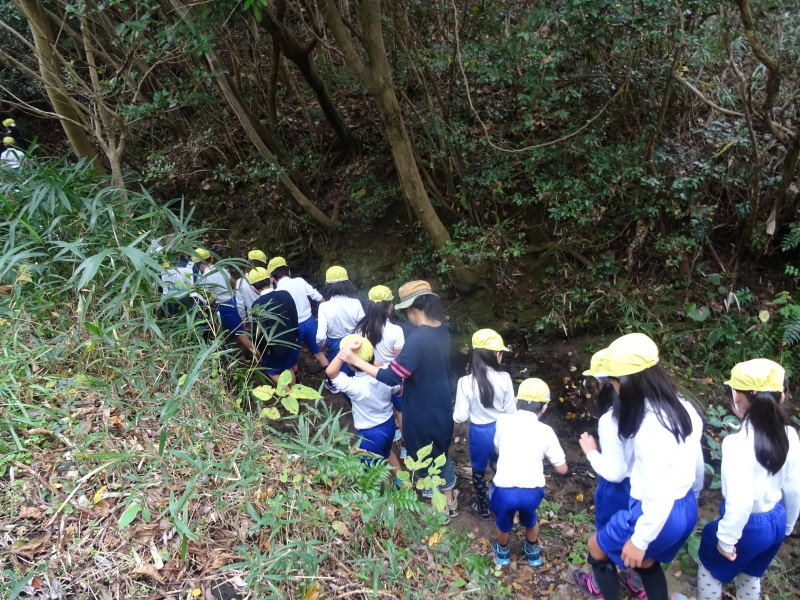 岸和田市立八木北小学校３年生遠足「里山体験]　in　うみべの森_c0108460_17175846.jpg