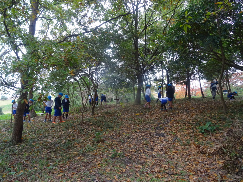 岸和田市立八木北小学校３年生遠足「里山体験]　in　うみべの森_c0108460_17413432.jpg