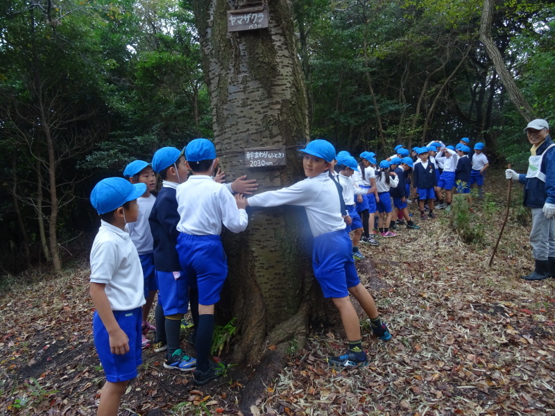 岸和田市立八木北小学校３年生遠足「里山体験]　in　うみべの森_c0108460_17452140.jpg