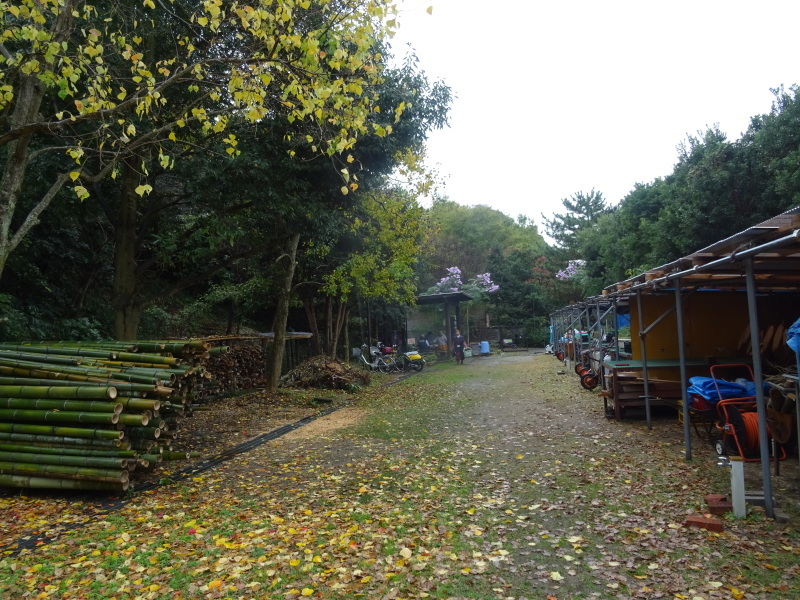 c0108460_17531797.jpg
