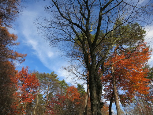f0236260_16492086.jpg