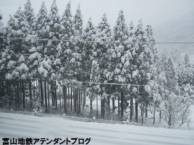 もうすぐ、冬がやってくるぅ_a0243562_15542932.jpg