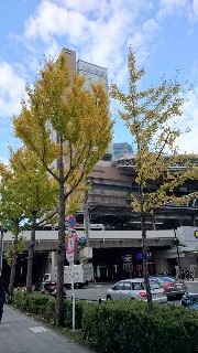 f0256164_115665.jpg