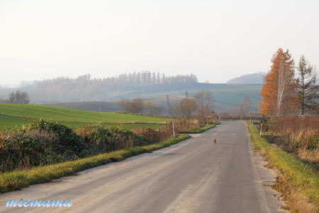 d0340565_20253369.jpg