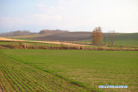 d0340565_20254852.jpg