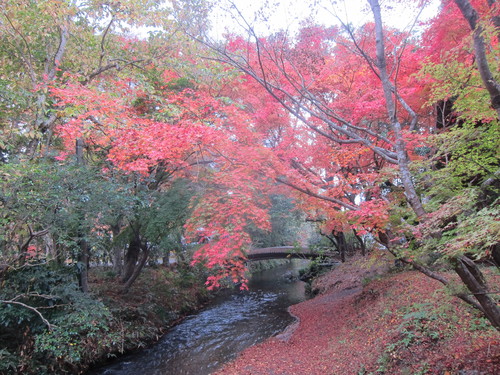 Autumn Kyushu-2._c0153966_10235621.jpg