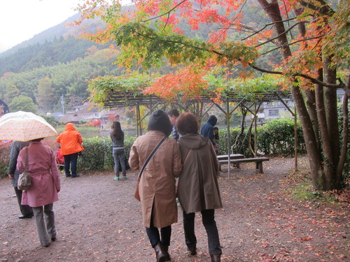 Autumn Kyushu-2._c0153966_10243772.jpg