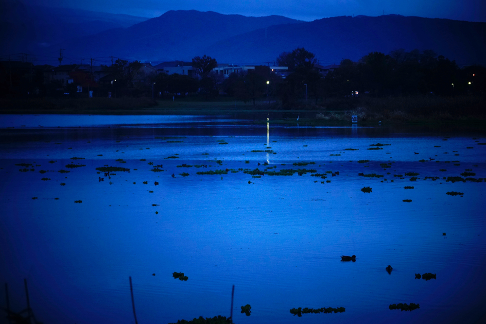 夕闇の湖　　　　H27/11/17　雨_b0038868_20122317.jpg