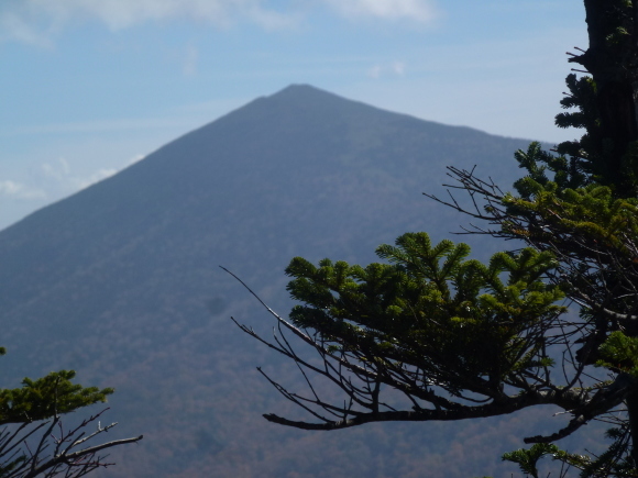 山登り　～鶏頭（けいとう）山～　（過日）_e0160568_16313165.jpg