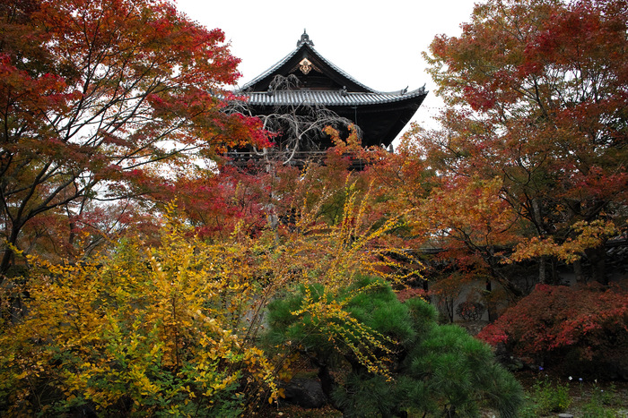 紅葉2015　南禅寺　　　　　　　　　　　　　　　　　_f0021869_23361618.jpg