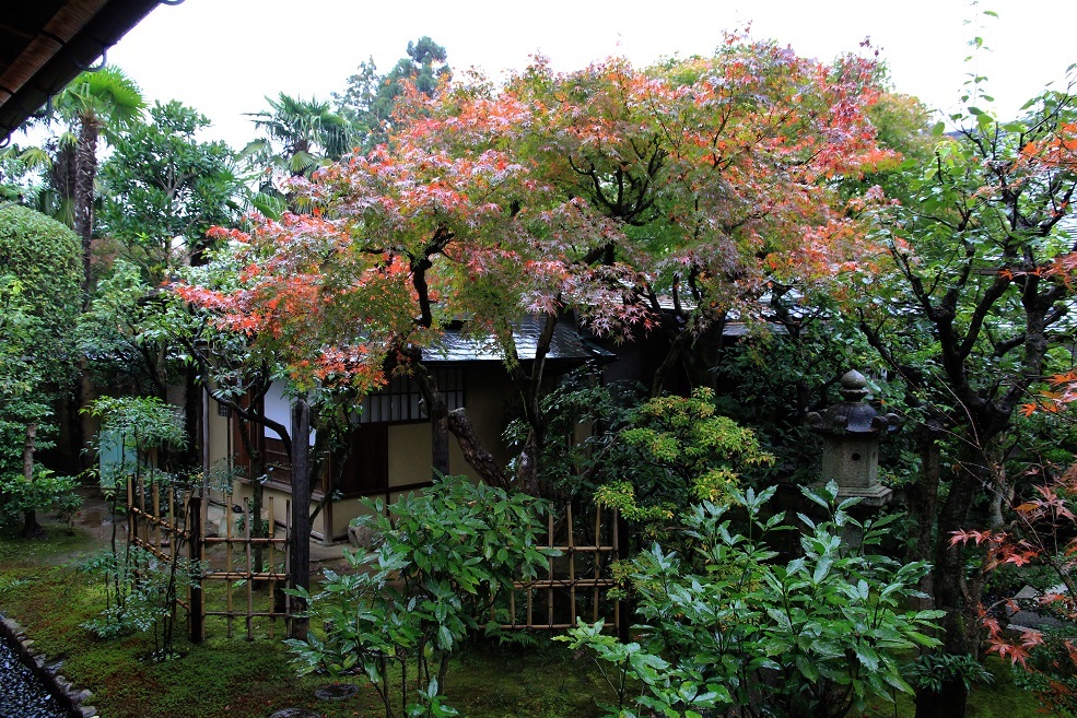 貴方も半分私も半分 ~大徳寺 黄梅院、総見院、興臨院~_a0107574_16410714.jpg