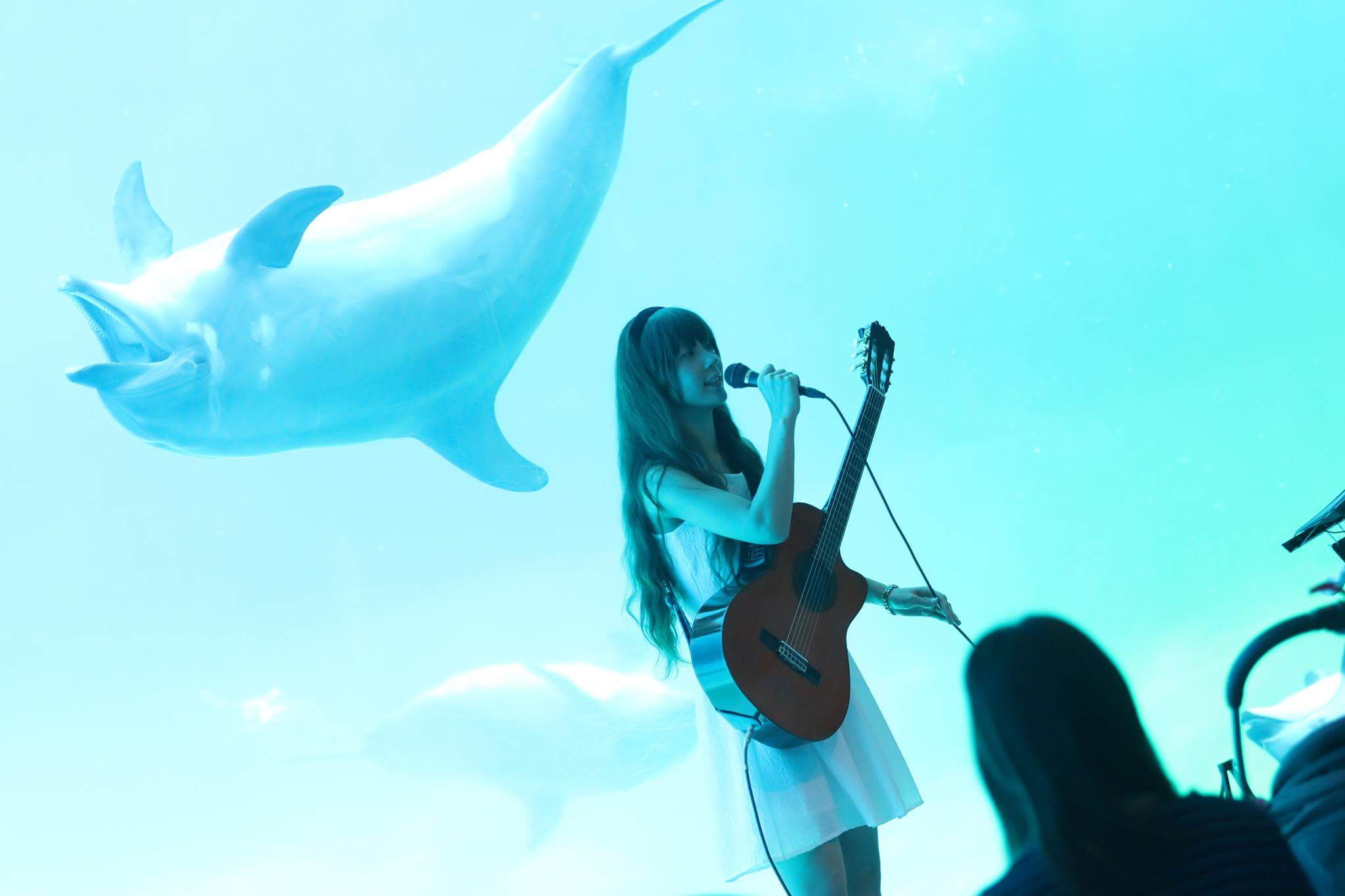 名古屋港水族館でライブ！！ありがとうございました。_b0143976_12451518.jpg