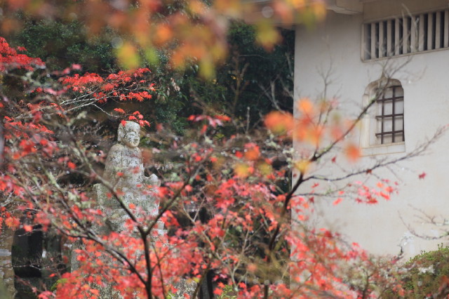 井山・宝福寺_c0148777_17303837.jpg