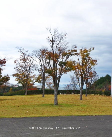 c0324285_17410045.jpg