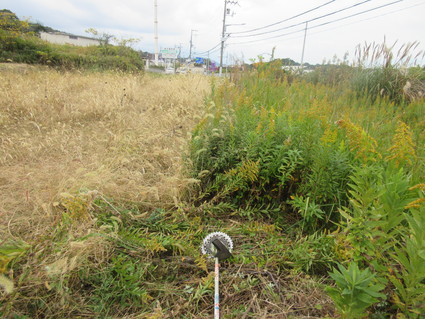 明日の岬高・山海人プロジェクト延期～_f0053885_19262533.jpg