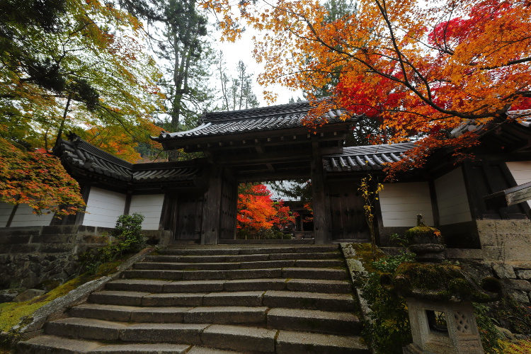 西明寺_e0051888_2584837.jpg