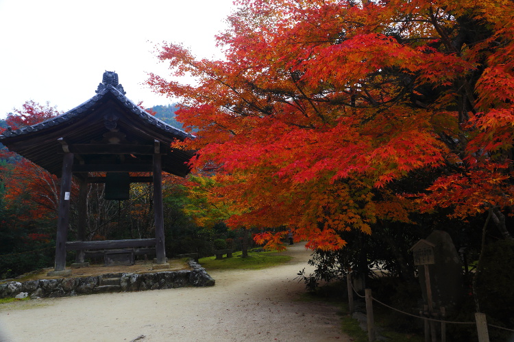 西明寺_e0051888_259064.jpg