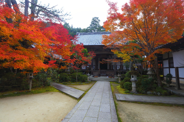 西明寺_e0051888_2591378.jpg