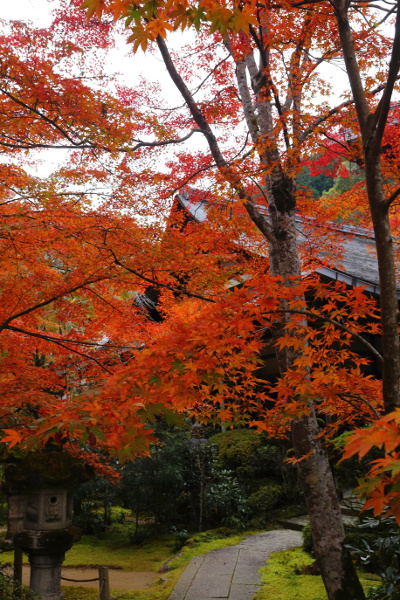 西明寺_e0051888_2592628.jpg