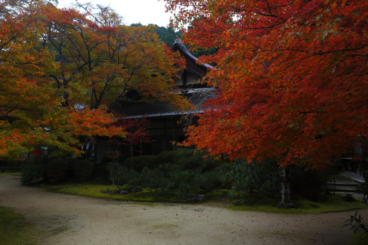 西明寺_e0051888_2594077.jpg