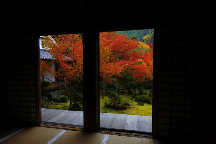 西明寺_e0051888_2594893.jpg