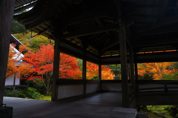 西明寺_e0051888_3006.jpg
