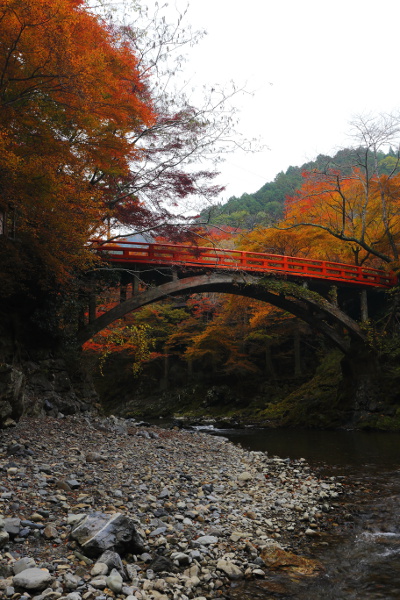 西明寺_e0051888_301322.jpg