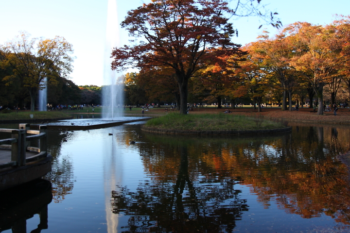 f0164989_0415695.jpg