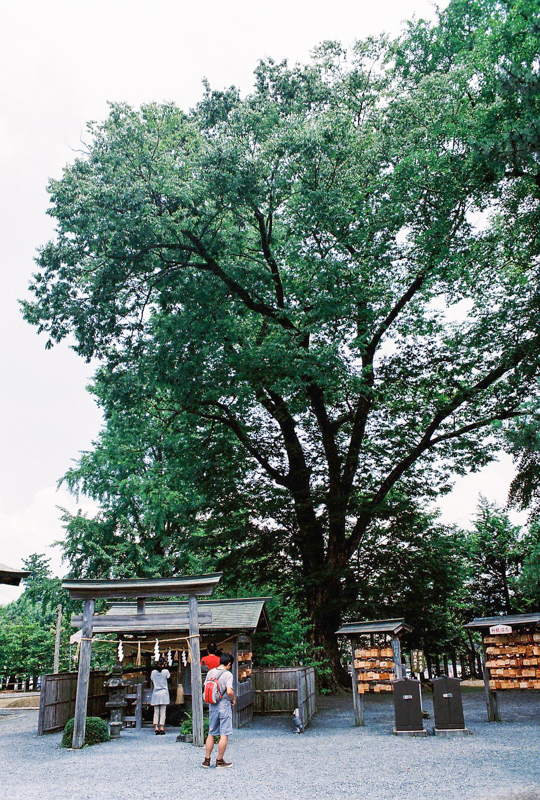 阿蘇神社_d0147393_744321.jpg