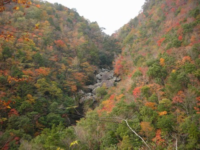 f0308898_16343359.jpg