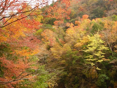f0308898_16355564.jpg