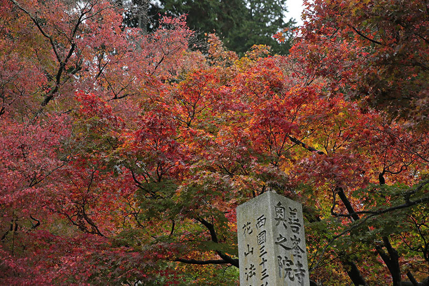 京の紅葉_b0315912_22565678.jpg