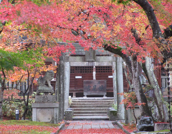 紅葉だより22 光悦寺と妙見宮_e0048413_20472972.jpg