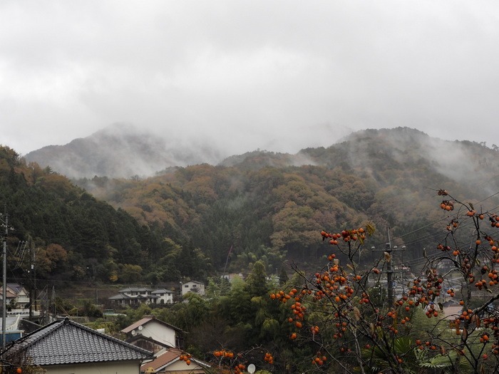 一日中雨_c0116915_23584175.jpg