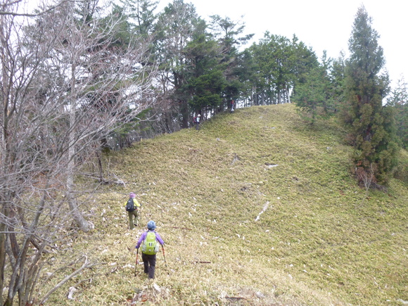 東洞岳 ～　イノ洞　縦走する。_d0170615_1585232.jpg