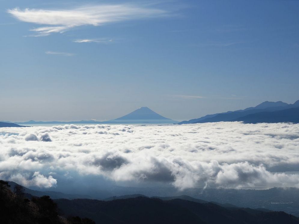 驚きの大雲海が出現した！高ボッチ高原からの富士山_a0031821_1547553.jpg
