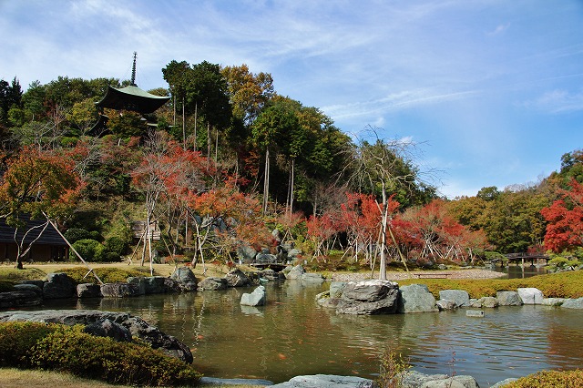 近貞悦子さんの作品です　　神勝寺_a0300121_19325297.jpg