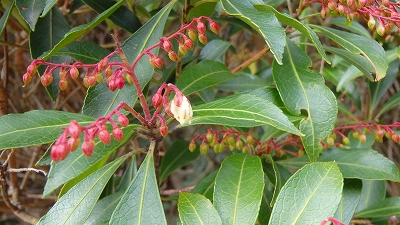 f0193521_03167.jpg