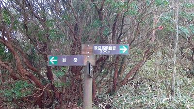 f0193521_06321.jpg