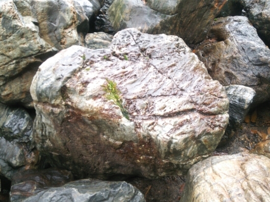 f0183722_10201649.jpg