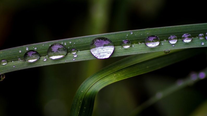 秋雨寸景_d0060435_22453050.jpg