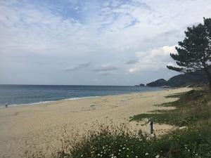 屋久島~秋_f0233340_16253948.jpg